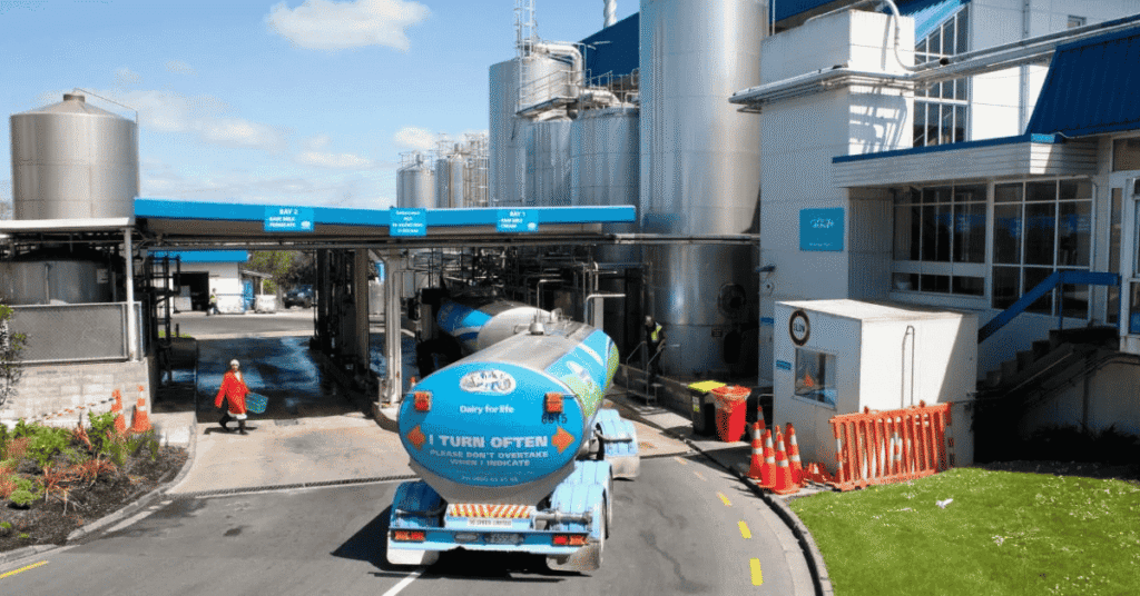 New Zealand Dairy Factory Jobs 2026 – Fonterra, Synlait & Open Country Hiring Now!